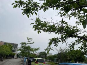 人手不足時代を乗り越える！病院や福祉施設の生産性向上の実践